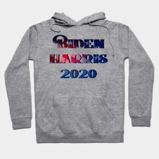 biden harris 2020 Hoodie